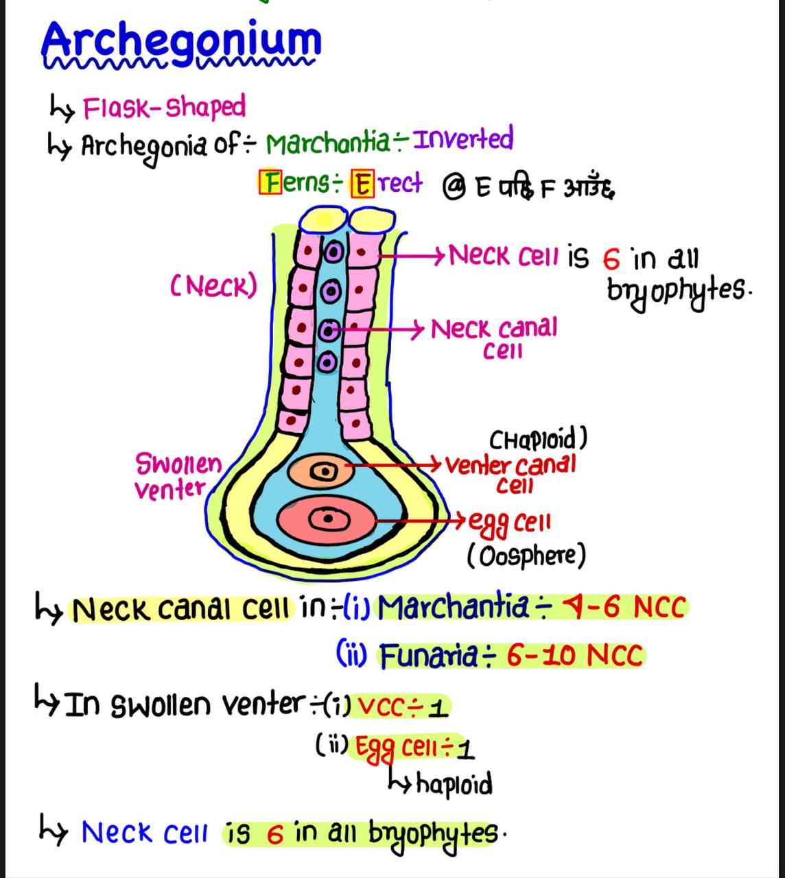 All Courses EntanceDose
